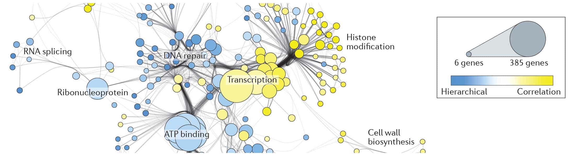 Nature Reviews Genetics 2015