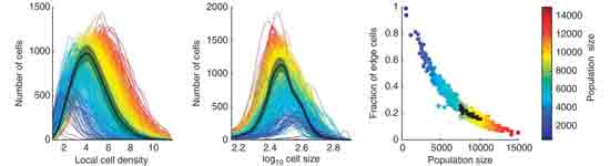 Molecular Systems Biology 2012