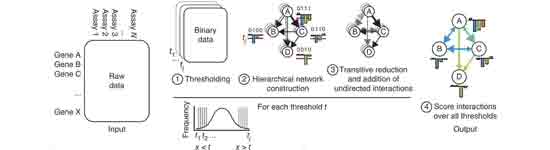 Nature Methods 2013