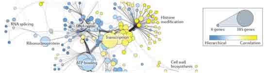 Nature Reviews Genetics 2015