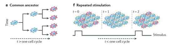 Nature Reviews Molecular Cell Biology 2011